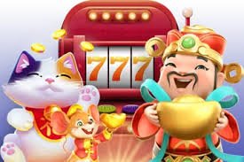 Giới thiệu xoc66